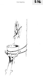 Six Ways to Obtain Drinkable Water Image